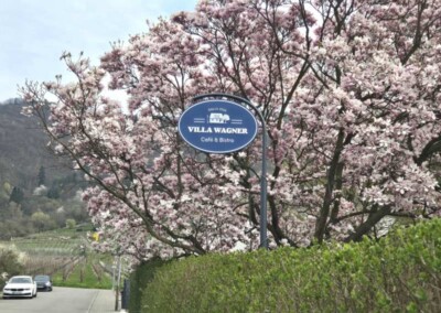 Eine Straßenansicht mit rosa blühenden Bäumen hinter einer Hecke, einem Schild für "Villa Wagner Café & Bistro" und Mülleimern auf dem Gehweg.